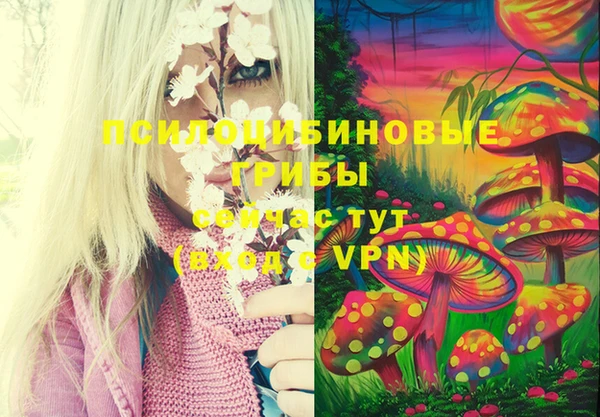 mdpv Верхний Тагил