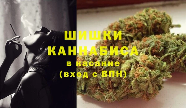 spice Верея