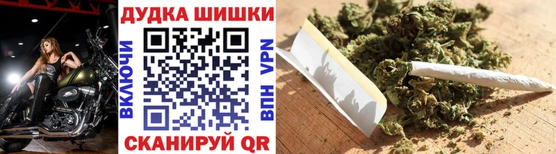 Купить закладки  Ленинск  Бошки Шишки SATIVA & INDICA 